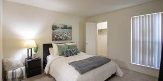 Canyon Creek Gallery 21