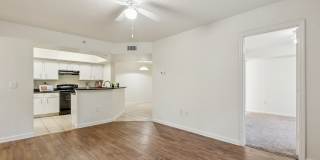 Lyme Stone Ranch Gallery 20