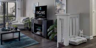 Enclave at Lake Ellenor Gallery 14