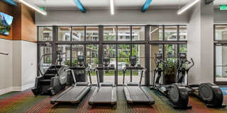 The Point at Miramar Gallery 19