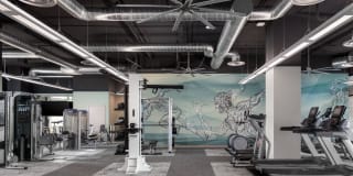 Peak 16 Gallery 22