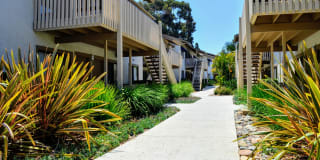 La Jolla Canyon Gallery 5