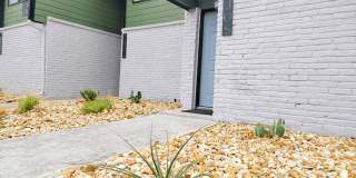 Ivy Plains at Brooks Gallery 24