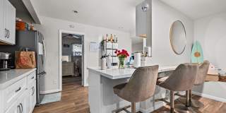 No back house! Gallery 5