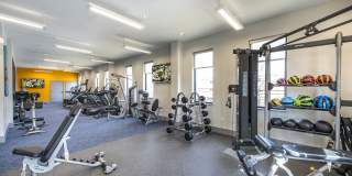 The Buckley Gallery 10