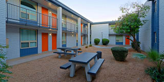 Allora Phoenix Gallery 19