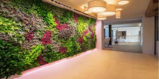 Fuse Cambridge Gallery 11