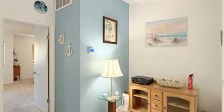 1723 Cypress Trace Drive Gallery 24