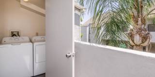 Palm Court Apartment Homes Gallery 57