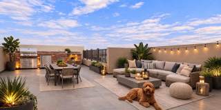 Detached Townhome - Private Roof Deck - With 360 Panoramic Views Gallery 1