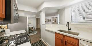 Cortland Scottsdale Mountain Gallery 2