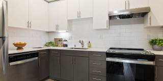 Meadowscape Gallery 4