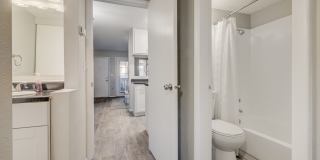 Ashford Apartments Gallery 10