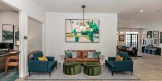 The Jackson Gallery 11