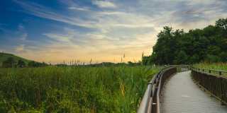 The Hartlan Gallery 54