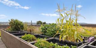 Ballard Public Gallery 65