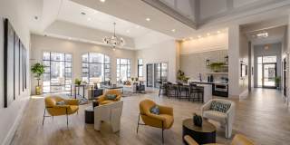 The One at Spartanburg Gallery 17