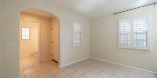 56 Scarlet Bloom Gallery 3