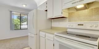 150 Pineview Road Gallery 23