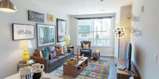 Student Housing - Luxe Belle Gallery 25