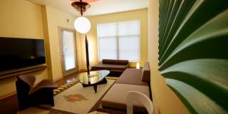 Settlement Place Gallery 11