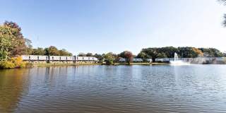 Newport Lake Gallery 24