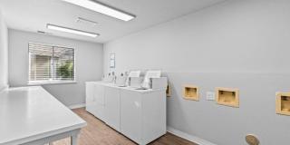 Woodbine Gallery 26