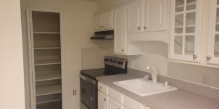 4 Apple Blossom Court Gallery 1