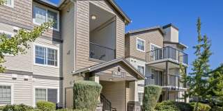 Sofi at Cedar Mill Gallery 1