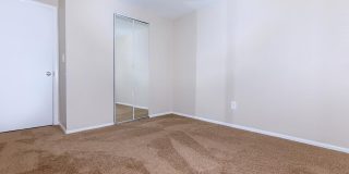 Vine East Gallery 9
