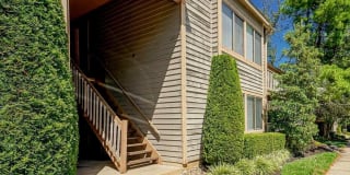 1909 THE WOODS II Gallery 1