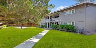 The Chloe Apartments Gallery 2
