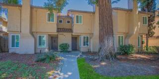 Southwood Townhomes Gallery 20
