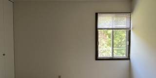 Lake Park Gallery 12