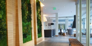 The Island Residences at Carlson Center Gallery 8