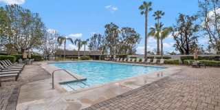 3341 Calle La Veta Gallery 38