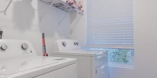 12634 CACAO TREE Trail Gallery 25