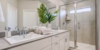 50 % Off First Month's Rent!! Gallery 16