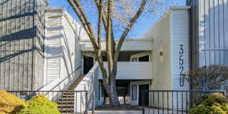 Dylan Apartments Gallery 34