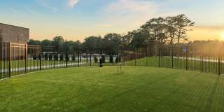 Renaissance Bay Gallery 27