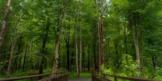 The Hartlan Gallery 49