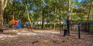 St. Johns Forest Gallery 19