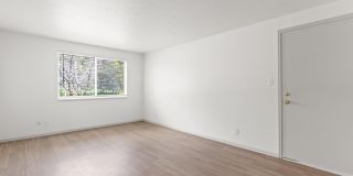 The Parker Apartments Gallery 6