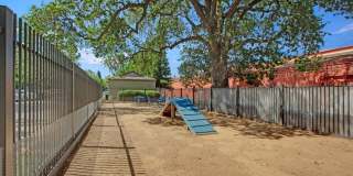 Broadleaf Apartments Gallery 42