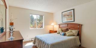 Maplewood Park Gallery 17