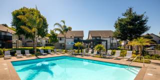 Windscape Village Gallery 6