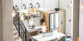 Alta Wren Gallery 28