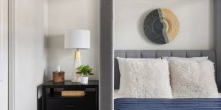 The Cannon Gallery 8