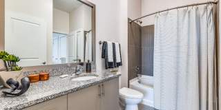 Maven at Wheaton Gallery 27