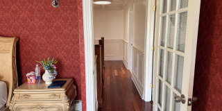 118 Swarthmore Terrace Gallery 6